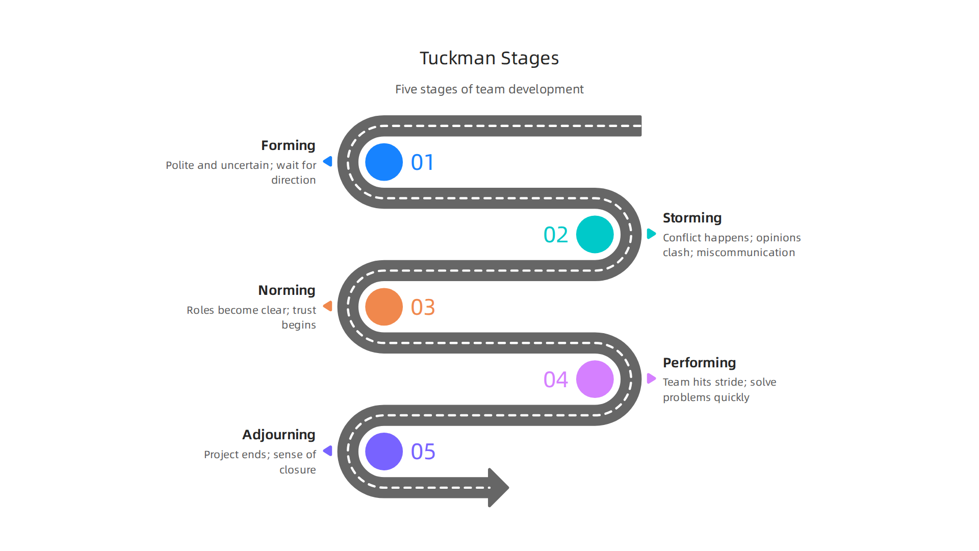 The five stages groups typically move through as they develop into high-performing teams, according to Tuckman's model.