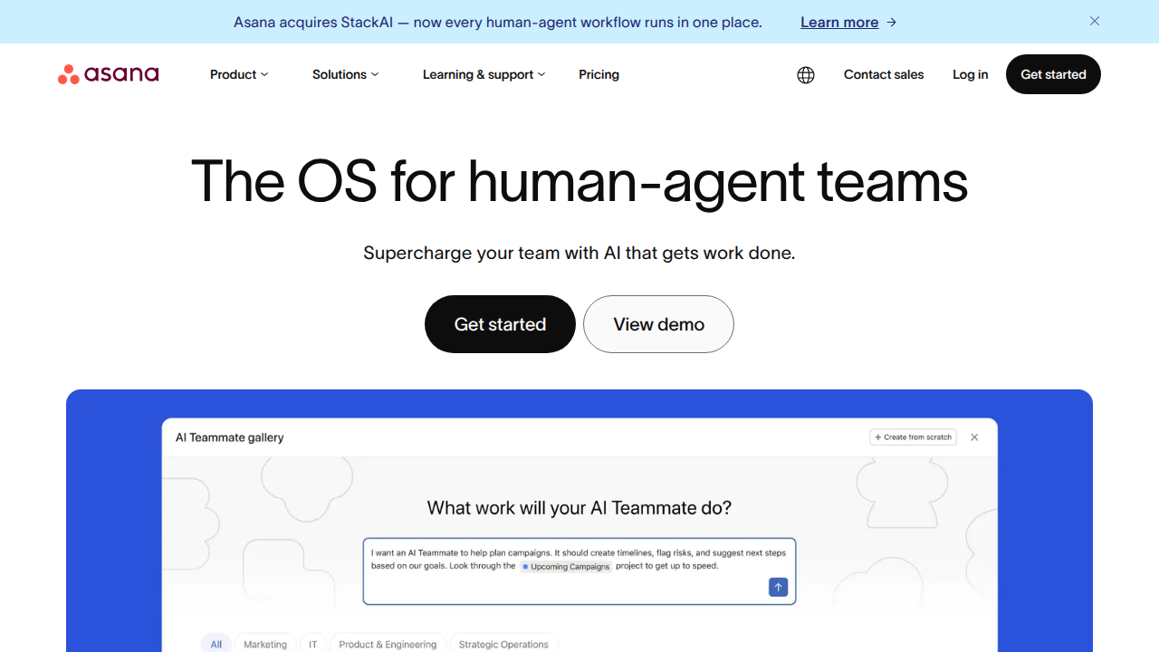 Visualize how a leading work management platform supports diverse team structures.